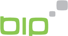 BIP - Digital Marketing Basics