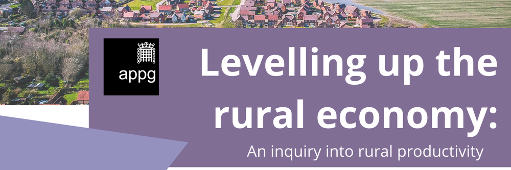 Levelling up the rural economy report banner
