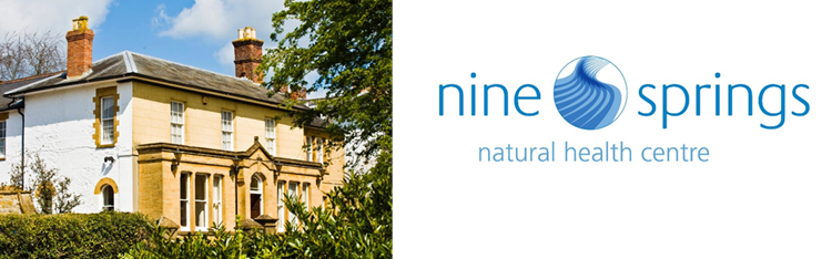 Picture of a house next to logo for Nine Springs Natural Health Clinic