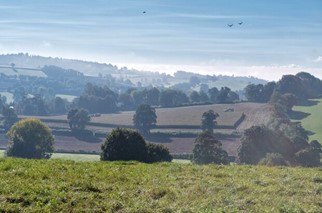 Farming landscape, hills and fields