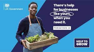 Help to Grow management scheme with picture of small business owner