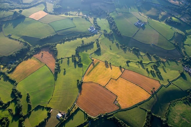 Picture of farmland
