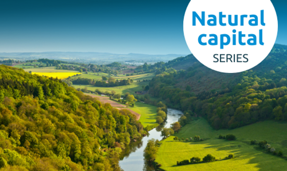 Photo of river valley with trees for natural capital event