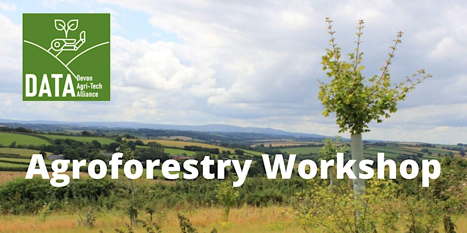 Agroforestry workshop banner with photo of young tree against a farming countryside backdrop